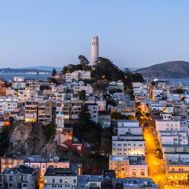 San Franciscos Coit Tower in der Abenddämmerung, 前面是灯火通明的街道，后面是贝博体彩app湾。.